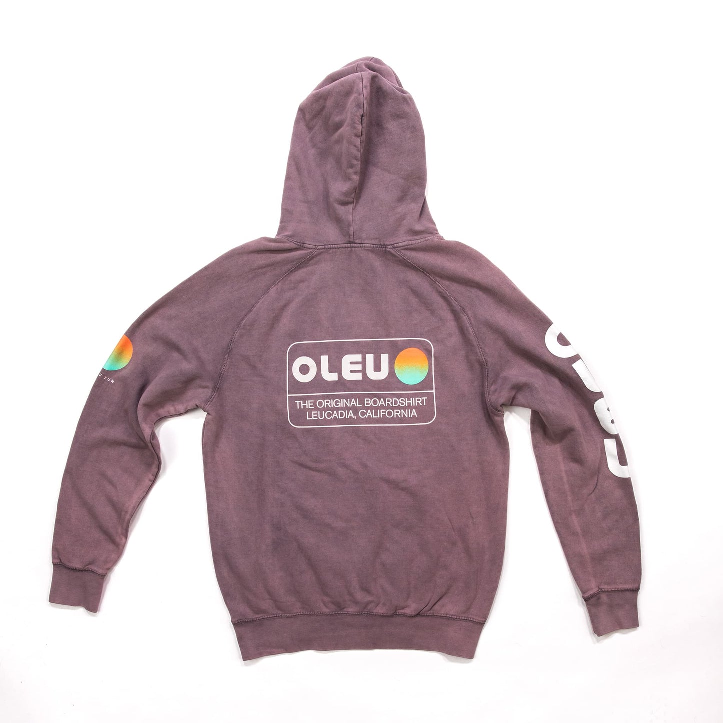 Salt Washed Graphic Hoodie - Marine Layer