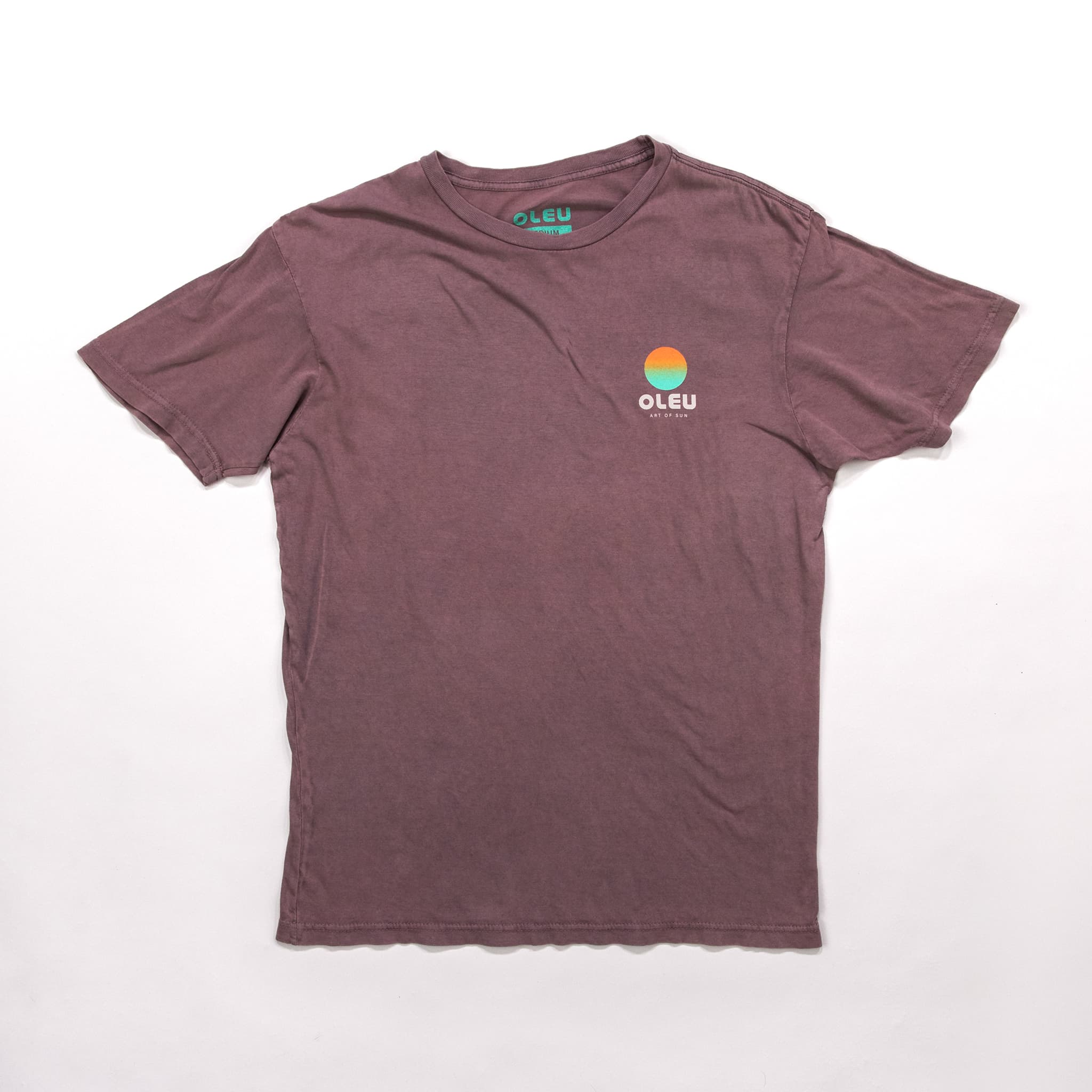 Salt Washed Graphic Tee - Marine Layer – OLEU